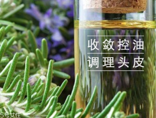 迷迭香精油怎么用？迷迭香精油使用注意事項(xiàng)