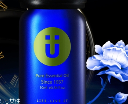 尤加利精油味道是什么？好聞嗎