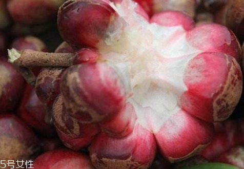 黑老虎果多少錢一斤 黑老虎果什么時(shí)候成熟 黑老虎果多少錢一斤 黑老虎果什么時(shí)候成熟