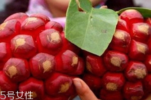 黑老虎果多少錢一斤 黑老虎果什么時(shí)候成熟 黑老虎果多少錢一斤 黑老虎果什么時(shí)候成熟