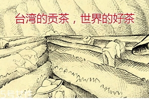 四云奶蓋貢茶哪個(gè)好喝？四云奶蓋貢茶點(diǎn)單攻略