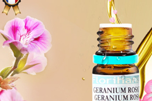 天竺葵精油可以擦臉嗎？天竺葵精油怎么擦臉