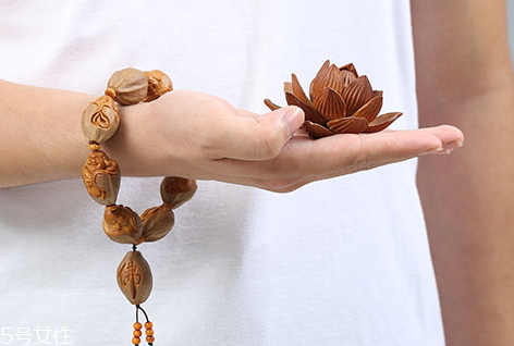 橄欖核能水洗嗎 橄欖核清洗技巧 橄欖核能水洗嗎 橄欖核清洗技巧