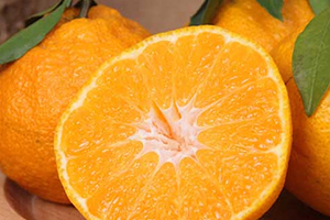 丑橘上火嗎？丑橘是上火還是下火