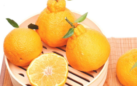 丑橘上火嗎？丑橘是上火還是下火