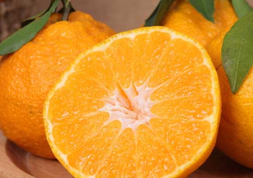 寶寶可以吃丑橘嗎？孩子多大可以吃丑橘