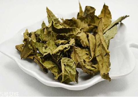 青錢(qián)柳茶哪里有賣(mài) 青錢(qián)柳茶怎么選購(gòu)