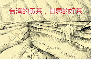 四云奶蓋貢茶哪個好喝？四云奶蓋貢茶點單攻略