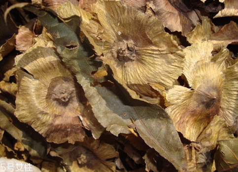 青錢柳可以減肥嗎 青錢柳減肥方法 青錢柳可以減肥嗎 青錢柳減肥方法