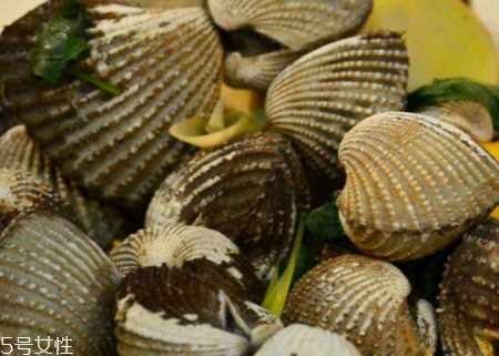 毛蚶和血蚶的區(qū)別 毛蚶和血蚶哪個(gè)好吃 毛蚶和血蚶的區(qū)別 毛蚶和血蚶哪個(gè)好吃