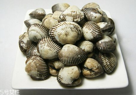 毛蚶和血蚶的區(qū)別 毛蚶和血蚶哪個(gè)好吃 毛蚶和血蚶的區(qū)別 毛蚶和血蚶哪個(gè)好吃