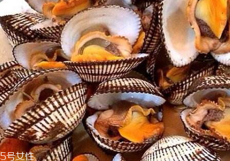 毛蚶可以生吃嗎 毛蚶怎么吃最好 毛蚶可以生吃嗎 毛蚶怎么吃最好