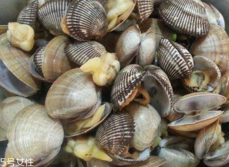 毛蚶可以生吃嗎 毛蚶怎么吃最好 毛蚶可以生吃嗎 毛蚶怎么吃最好