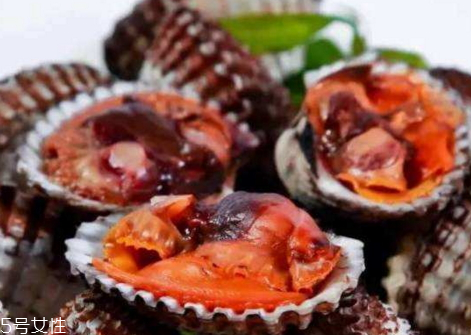 血蛤能放多久 血蛤怎么保存 血蛤能放多久 血蛤怎么保存