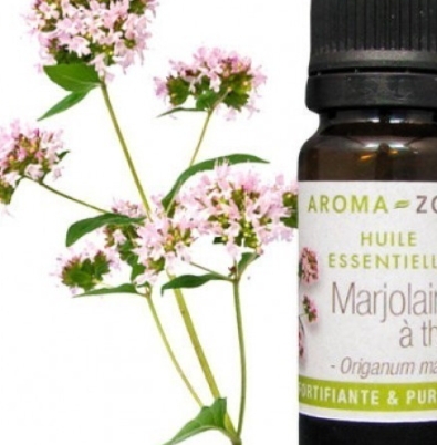 側(cè)柏精油的功效與作用 側(cè)柏精油使用方法 側(cè)柏精油的功效與作用 側(cè)柏精油使用方法