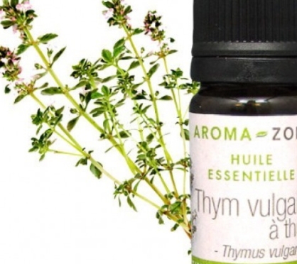 側(cè)柏精油的功效與作用 側(cè)柏精油使用方法 側(cè)柏精油的功效與作用 側(cè)柏精油使用方法