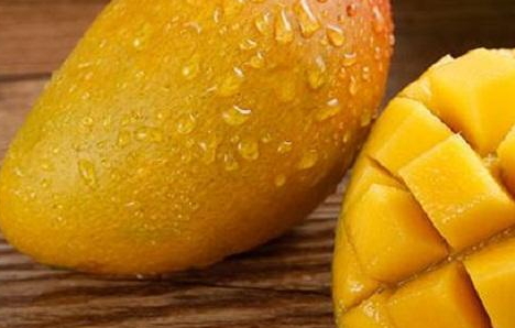 七彩芒多少錢一斤？七彩芒的功效與作用