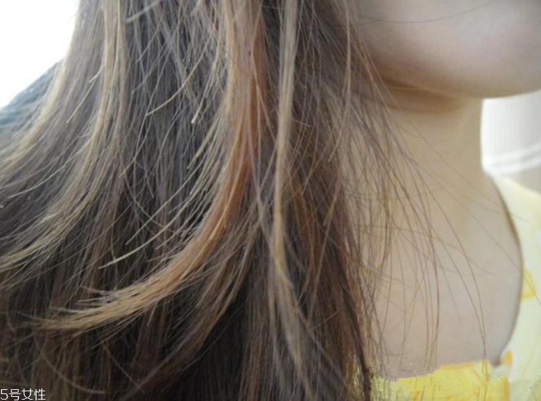 沙龍洗護和日化洗護的區(qū)別在哪 沙龍線和日化線的區(qū)別 沙龍洗護和日化洗護的區(qū)別在哪 沙龍線和日化線的區(qū)別