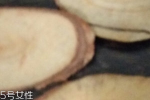 東革阿里是中藥嗎？東革阿里是什么？