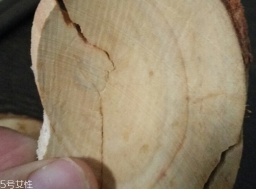 東革阿里是中藥嗎？東革阿里是什么？