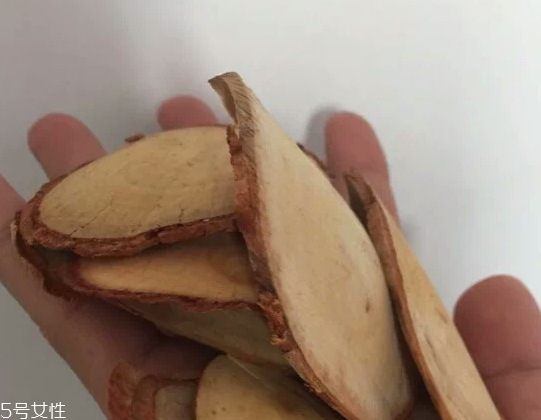 東革阿里是中藥嗎？東革阿里是什么？