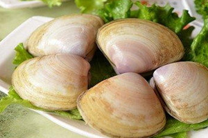 海蚌不能和什么一起吃 海蚌什么人不能吃 海蚌不能和什么一起吃 海蚌什么人不能吃