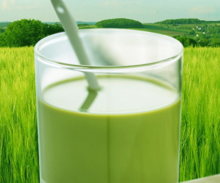 大麥若葉青汁豆奶好喝嗎？貝花子大麥若葉青汁豆奶點評