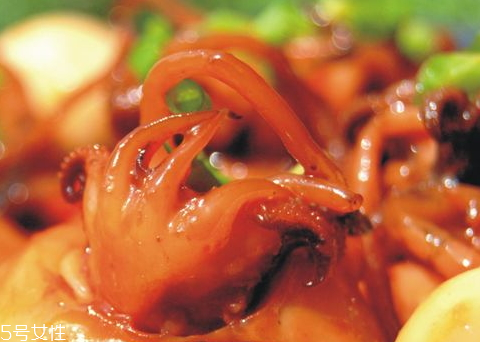 望潮和章魚有什么區(qū)別 望潮什么季節(jié)吃 望潮和章魚有什么區(qū)別 望潮什么季節(jié)吃