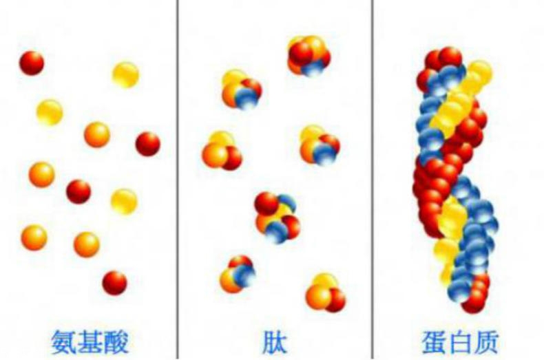 干性肌膚怎么抗皺 干性肌抗皺注意三點(diǎn) 干性肌膚怎么抗皺 干性肌抗皺注意三點(diǎn)