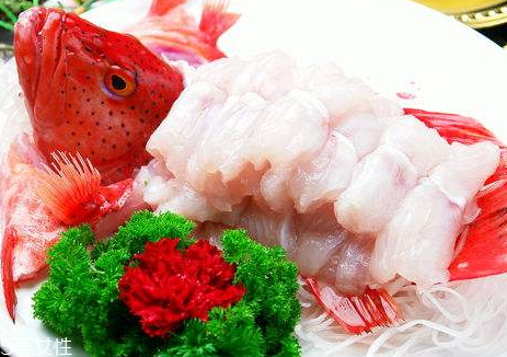 東星斑多少錢一斤 挑選東星斑的方法 東星斑多少錢一斤 挑選東星斑的方法