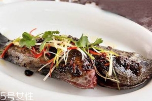 老虎斑多少錢一斤 老虎斑多少錢一斤2018 老虎斑多少錢一斤 老虎斑多少錢一斤2018