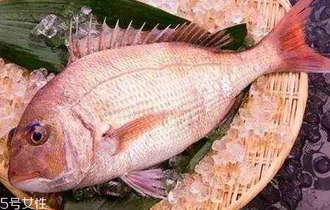 加吉魚多少錢一斤2018 加吉魚怎么選購 加吉魚多少錢一斤2018 加吉魚怎么選購