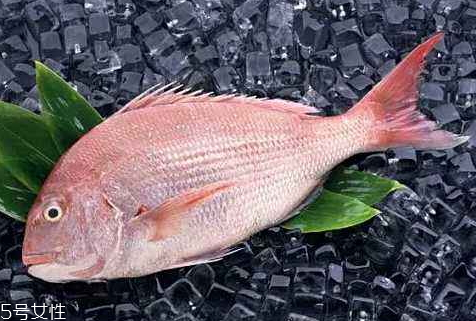 加吉魚可以生吃嗎 加吉魚生吃有什么好處 加吉魚可以生吃嗎 加吉魚生吃有什么好處