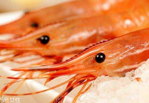 牡丹蝦多少錢一只 牡丹蝦選購技巧及真假辨別方法 牡丹蝦多少錢一只 牡丹蝦選購技巧及真假辨別方法