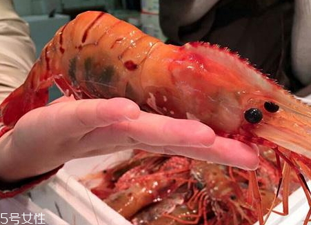 牡丹蝦和甜蝦的區(qū)別 牡丹蝦和紅蝦哪個好 牡丹蝦和甜蝦的區(qū)別 牡丹蝦和紅蝦哪個好