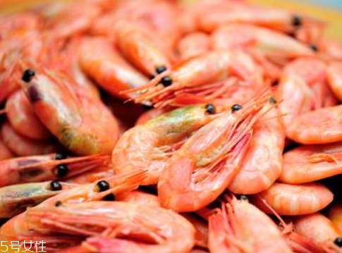 北極蝦多少錢一斤 新鮮北極蝦的選購技巧 北極蝦多少錢一斤 新鮮北極蝦的選購技巧