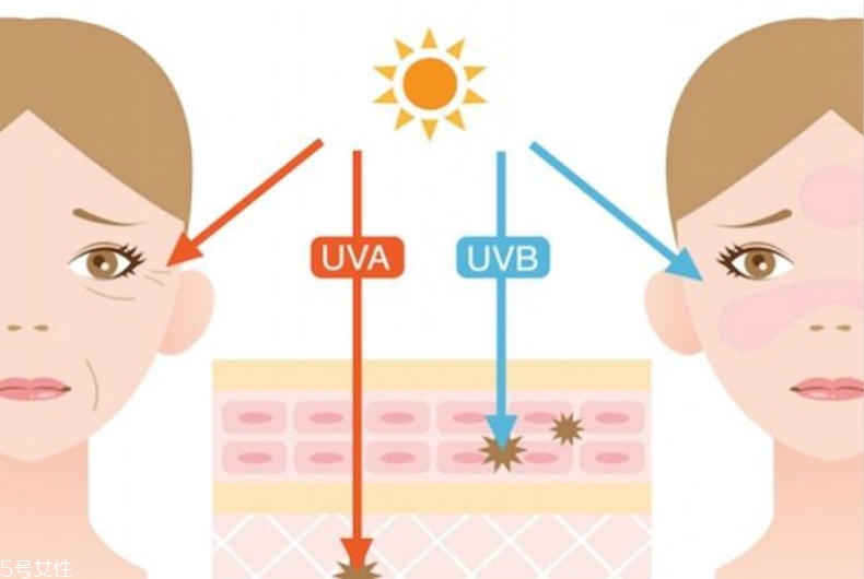 干性肌膚怎么抗皺 干性肌抗皺注意三點(diǎn) 干性肌膚怎么抗皺 干性肌抗皺注意三點(diǎn)