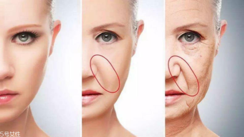 干性肌膚怎么抗皺 干性肌抗皺注意三點(diǎn) 干性肌膚怎么抗皺 干性肌抗皺注意三點(diǎn)