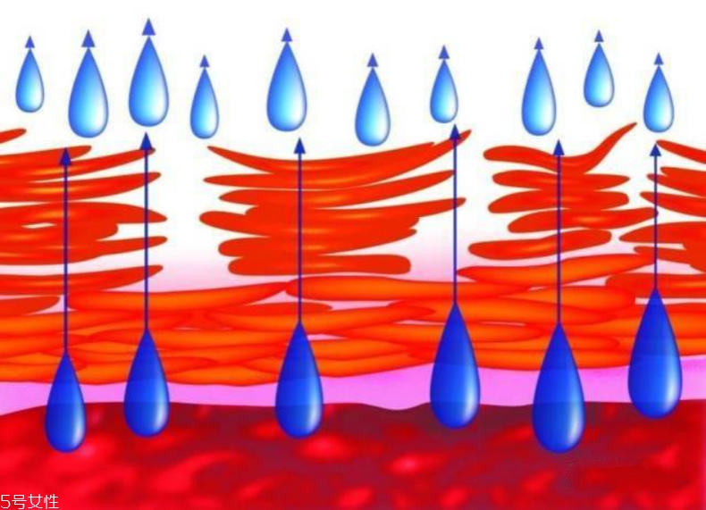 干性肌膚怎么抗皺 干性肌抗皺注意三點(diǎn) 干性肌膚怎么抗皺 干性肌抗皺注意三點(diǎn)