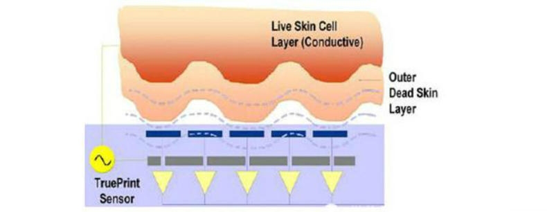 干性肌膚怎么抗皺 干性肌抗皺注意三點(diǎn) 干性肌膚怎么抗皺 干性肌抗皺注意三點(diǎn)