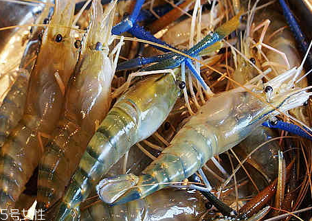 羅氏蝦孕婦可以吃嗎 孕婦吃羅氏蝦的好處 羅氏蝦孕婦可以吃嗎 孕婦吃羅氏蝦的好處