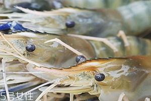 羅氏蝦孕婦可以吃嗎 孕婦吃羅氏蝦的好處 羅氏蝦孕婦可以吃嗎 孕婦吃羅氏蝦的好處