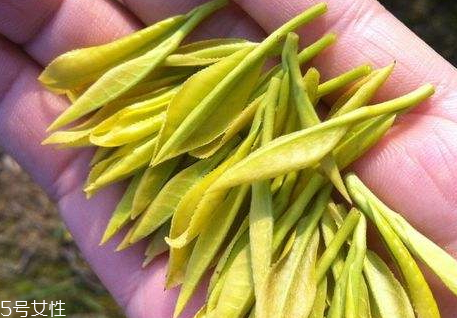 黃金茶多少錢一斤 黃金茶怎么選購 黃金茶多少錢一斤 黃金茶怎么選購