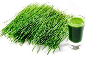 大麥若葉青汁是什么做的？