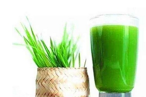 大麥若葉青汁可以加蜂蜜嗎？