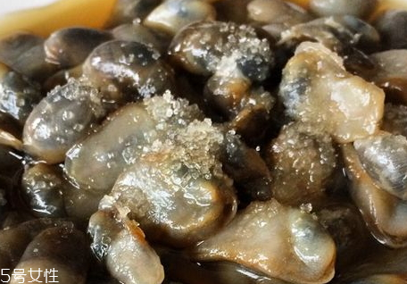 泥螺什么時候有 什么時候撿泥螺最好 泥螺什么時候有 什么時候撿泥螺最好