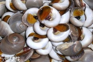 肚臍螺煮多久 水煮肚臍螺的做法 肚臍螺煮多久 水煮肚臍螺的做法
