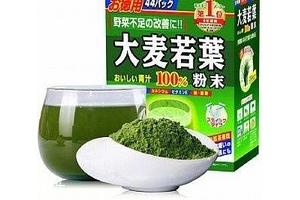 大麥若葉青汁小孩可以喝嗎？