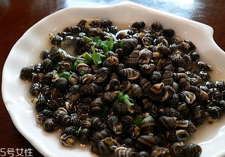 香螺怎么洗干凈 香螺怎么浸泡 香螺怎么洗干凈 香螺怎么浸泡