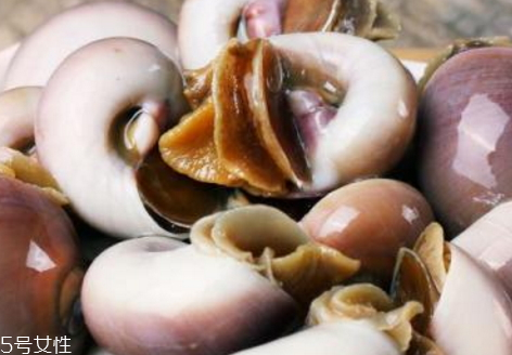 香螺什么季節(jié)最肥 香螺什么時(shí)候有 香螺什么季節(jié)最肥 香螺什么時(shí)候有